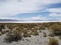 Coipasa Salt Flats (24)